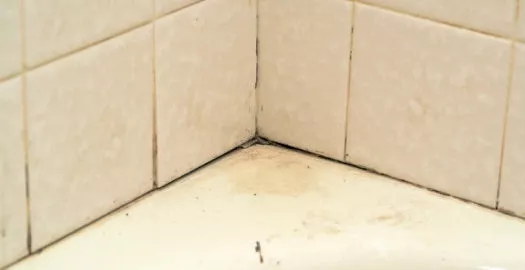 Rengöring i badrummet för att förhindra mjöldagg och mögel